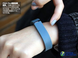 可穿戴设备未来之路 数款智能手环图赏
